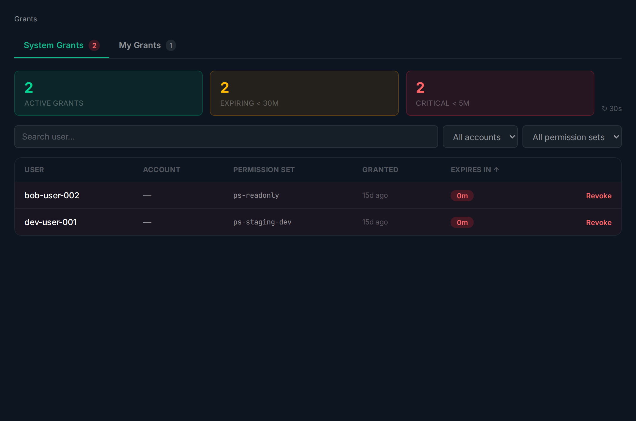 Grant row with Revoke button